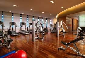 Sheraton Frankfurt Airport Hotel & Conference Center