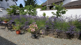 Winzerhaus am Eckbach