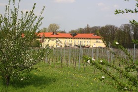 MAXX by Steigenberger Deidesheim