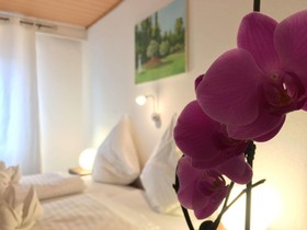 City-Hotel-Garni-Diez