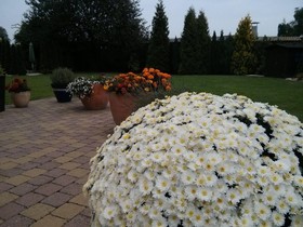 Ferienwohnungen Am Pfaffensee