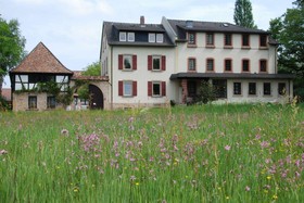 Gut Rehbach