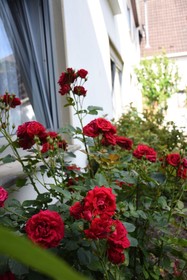 Ferienwohnung Alexanderhof