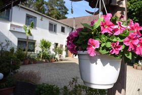 Ferienwohnung Alexanderhof