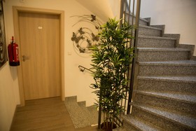 Hotel-Pension Dorfschänke
