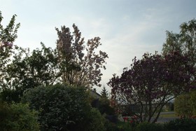 Waldesblick Hotel & Ferienwohnungen