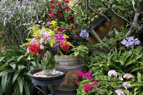 Weinmanufaktur Wolfgang Pfaffmann & Guesthouse Susanne Pfaffmann