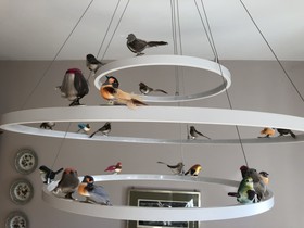 Weinmanufaktur Wolfgang Pfaffmann & Guesthouse Susanne Pfaffmann