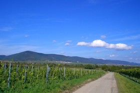 Weinmanufaktur Wolfgang Pfaffmann & Guesthouse Susanne Pfaffmann