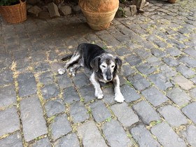 Weinmanufaktur Wolfgang Pfaffmann & Guesthouse Susanne Pfaffmann