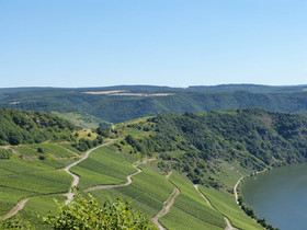 Hotel Zur Brücke Minheim