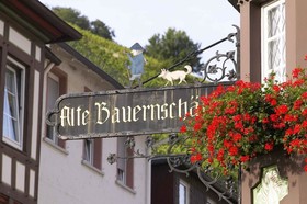 Berg's Alte Bauernschänke