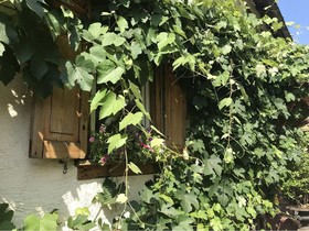 Tante Berg B&B