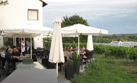 Rheinblick