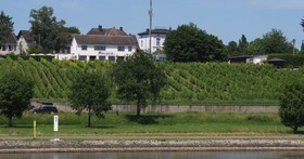 Rheinblick