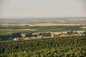 Weingut & Weinparadies Meyerhof