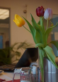 Goethe Hotel Messe by Trip Inn