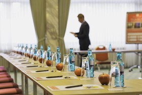 Soaltee Hotel by Trip Inn Frankfurt Messe