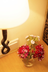 Hotel Villa Florentina