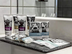 Mercure Hotel Frankfurt City Messe