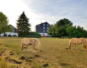 Sulzbacher Hof