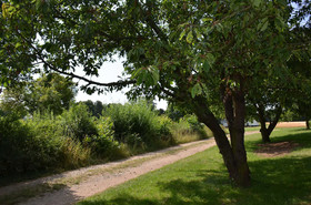 Sulzbacher Hof