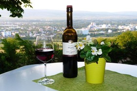 Bergrestaurant und Pension Waldeck