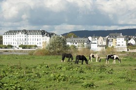 Rheinhotel Larus