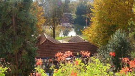 Weißes Ross