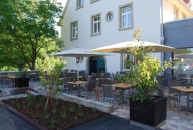 Weinherberge Rebgut