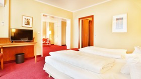 Mercure Hotel Mainz City Center