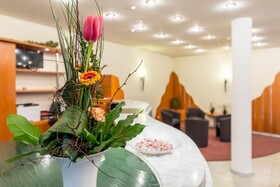 Tagungshotel Bristol Mainz