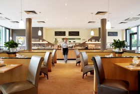 Best Western Plus Steubenhof Hotel