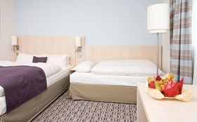 Mercure Hotel Mannheim am Friedensplatz