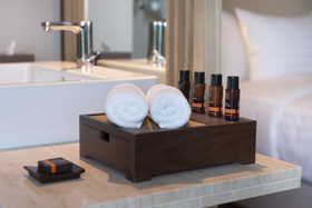 Delta Hotels by Marriott Frankfurt Offenbach
