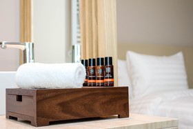 Delta Hotels by Marriott Frankfurt Offenbach