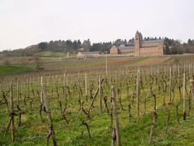 Weingut Jacob Lill IV Nachfolger
