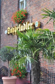 Doppeladler