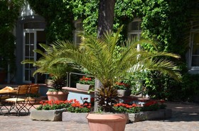Domhof