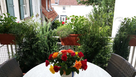 Landhaus Rebstock