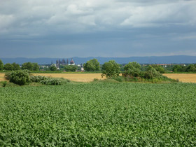 Landhaus Rebstock
