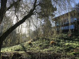 Ferienhaus Haagalm