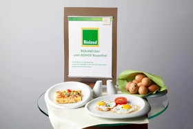 Hanse Hotel Attendorn