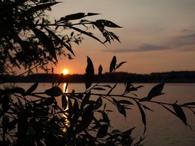 Hotel Forsthaus Wiesmann