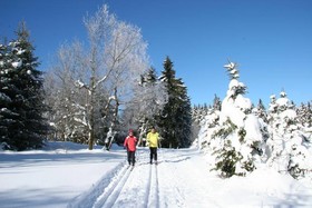 Hotel Gasthaus Tröster