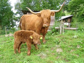 Landgasthof zum Sorpetal