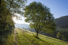 Landgasthof zum Sorpetal