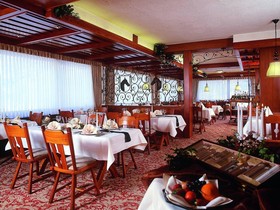 SAUERLAND Alpin Hotel