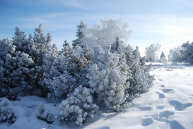 Forsthaus/ Sauerland