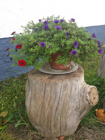 Ferienhaus am Skihang